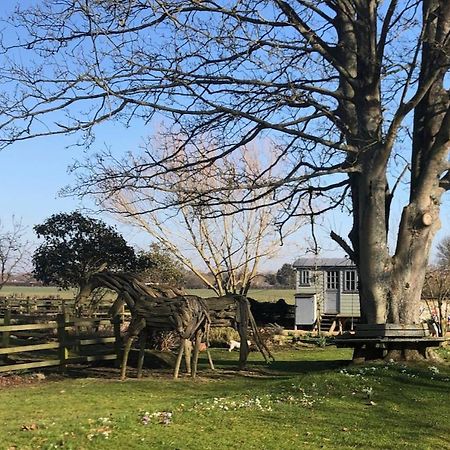 The Shepherd'S Hut @ Chichester Cottage Екстер'єр фото