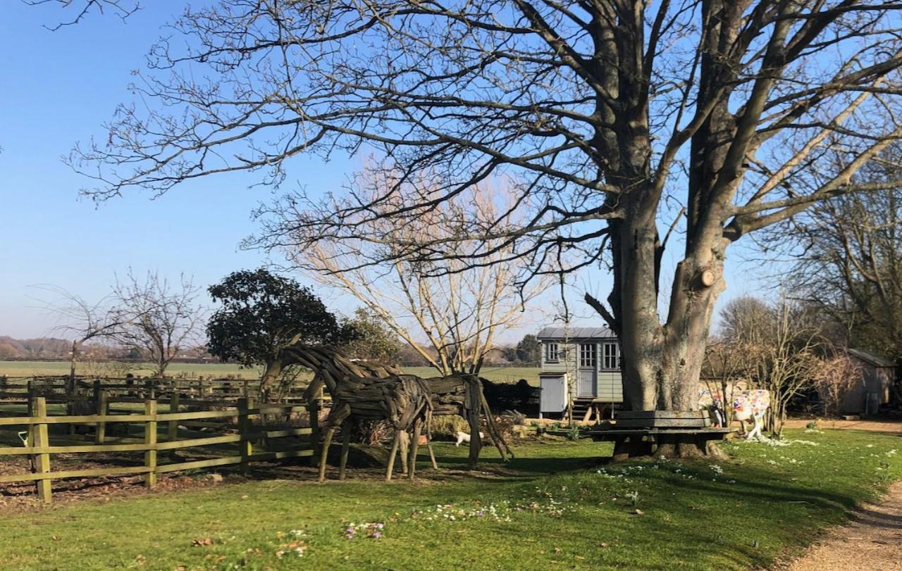 The Shepherd'S Hut @ Chichester Cottage Екстер'єр фото